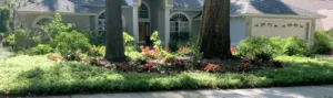 Central Florida Landscaping