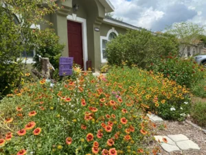 Eco-Friendly Gardens