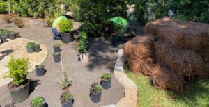 Central Florida Landscaping