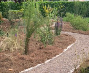 Central Florida Landscaping