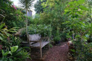 Eco-Friendly Gardens