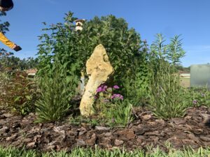 Eco-Friendly Gardens