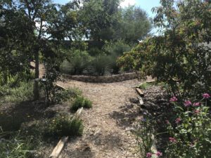 Central Florida Landscaping