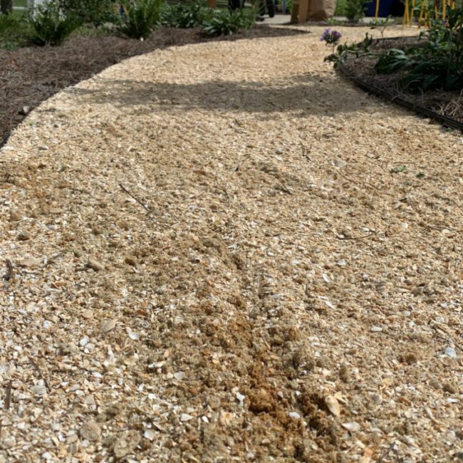 331 - Coquina Shell pathway