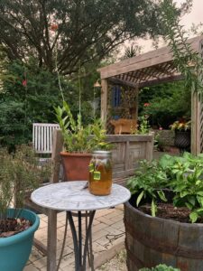 Central Florida Landscaping