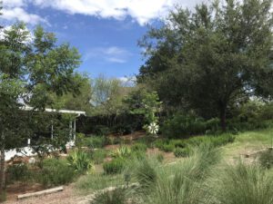 Florida Native Plant Maintenance Services