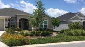 Sunbridge Native Plants Maintenance Services