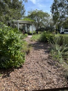 Native Gardens
