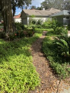 Sustainable Garden Maintenance Services