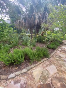 Native Gardens