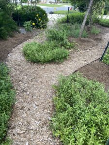 Sustainable Garden Maintenance Services