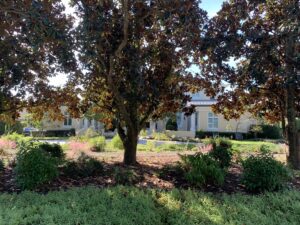 Sustainable Garden Maintenance Services