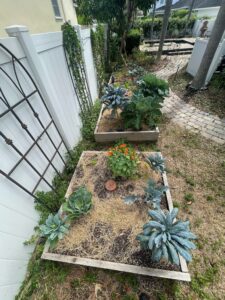 Previous Permaculture jobs