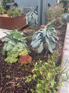 Previous Permaculture jobs