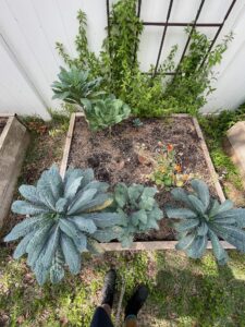 Previous Permaculture jobs