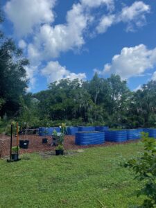 Previous Permaculture jobs