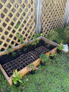 Previous Permaculture jobs