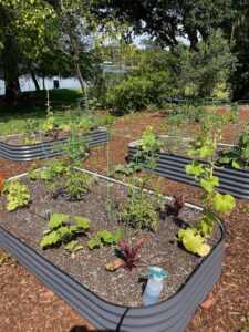 Previous Permaculture jobs