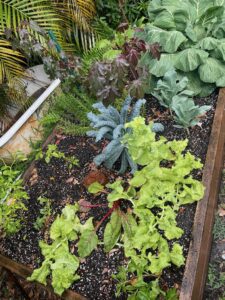 Previous Permaculture jobs