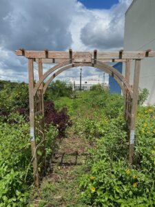 Previous Permaculture jobs