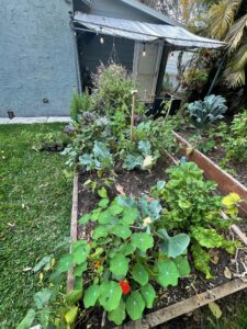 Previous Permaculture jobs