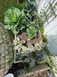 Previous Permaculture jobs