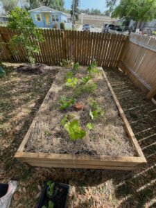 Previous Permaculture jobs