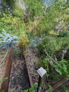 Previous Permaculture jobs