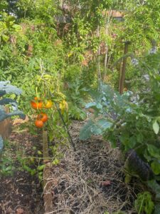 Previous Permaculture jobs